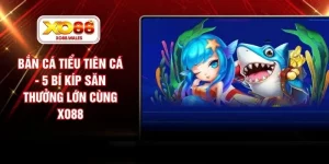 Bắn Cá Tiểu Tiên Cá - 5 Bí Kíp Săn Thưởng Lớn Cùng XO88
