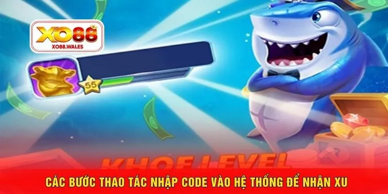Các bước thao tác nhập code vào hệ thống để nhận xu