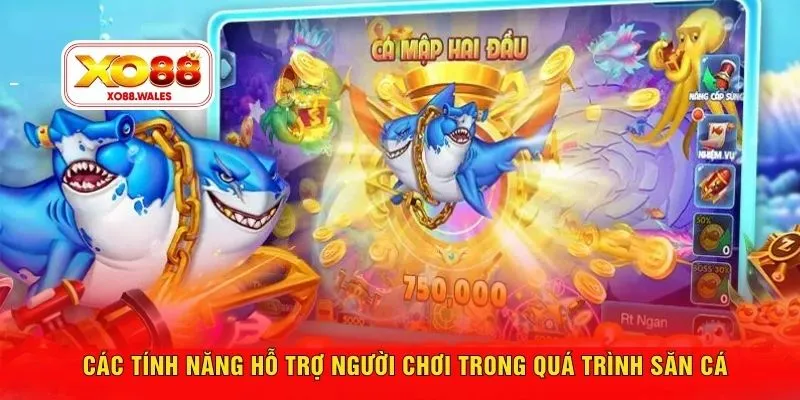 Các tính năng hỗ trợ người chơi trong quá trình săn cá