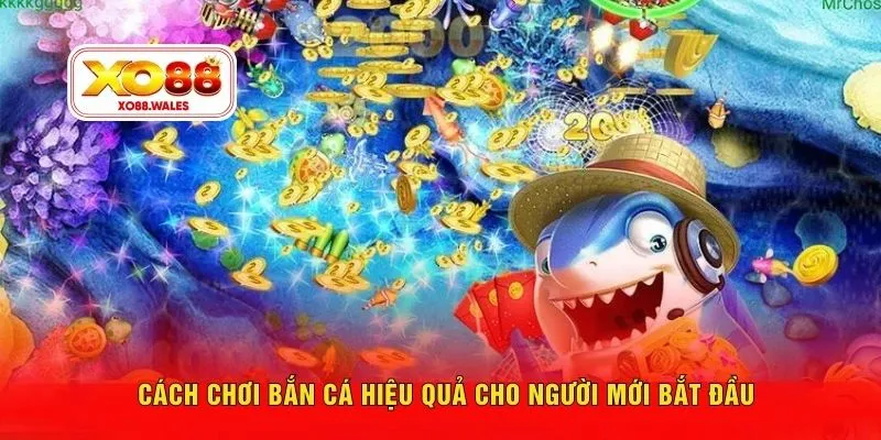 Cách chơi bắn cá hiệu quả cho người mới bắt đầu