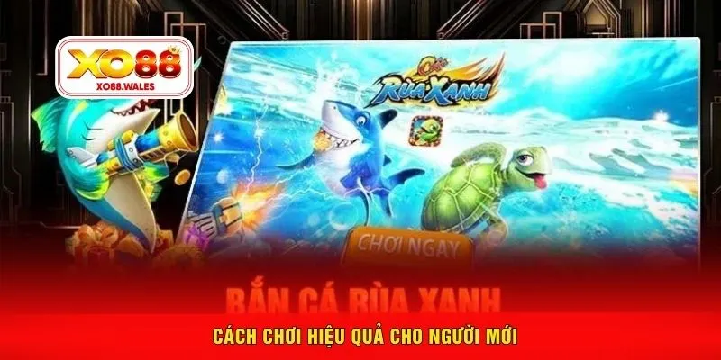 Cách chơi hiệu quả cho người mới