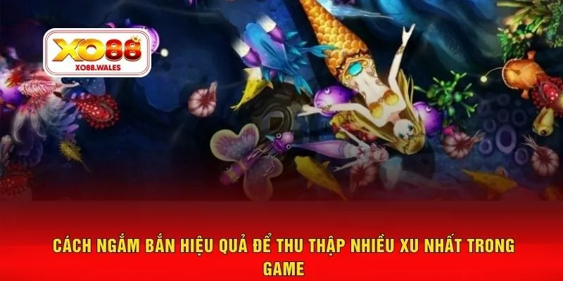 Cách ngắm bắn hiệu quả để thu thập nhiều xu nhất trong game