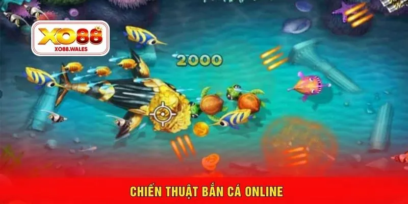 Chiến thuật bắn cá online