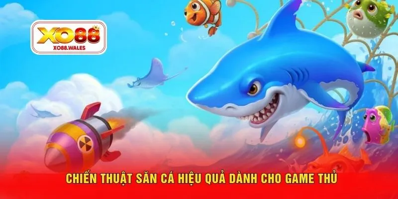 Chiến thuật săn cá hiệu quả dành cho game thủ