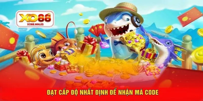 Đạt cấp độ nhất định để nhận mã code