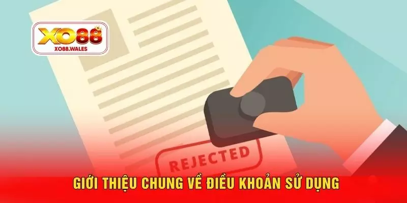 Giới thiệu chung về điều khoản sử dụng