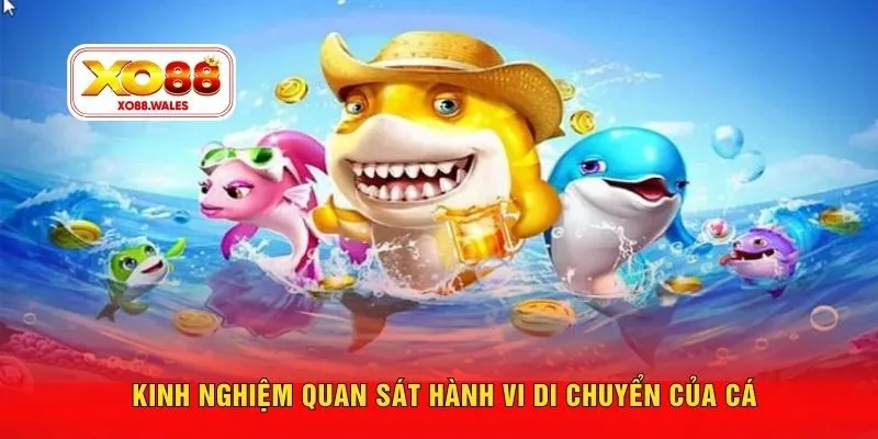 Kinh nghiệm quan sát hành vi di chuyển của cá