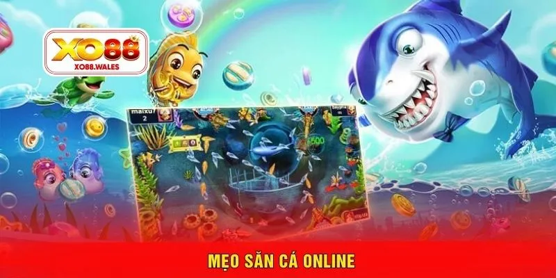 Mẹo săn cá online
