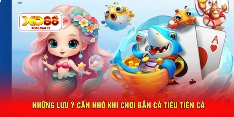 Những lưu ý cần nhớ khi chơi bắn cá tiểu tiên cá