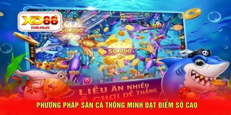 Phương pháp săn cá thông minh đạt điểm số cao
