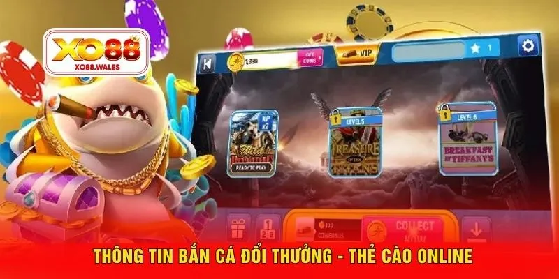 Thông tin bắn cá đổi thưởng - thẻ cào online