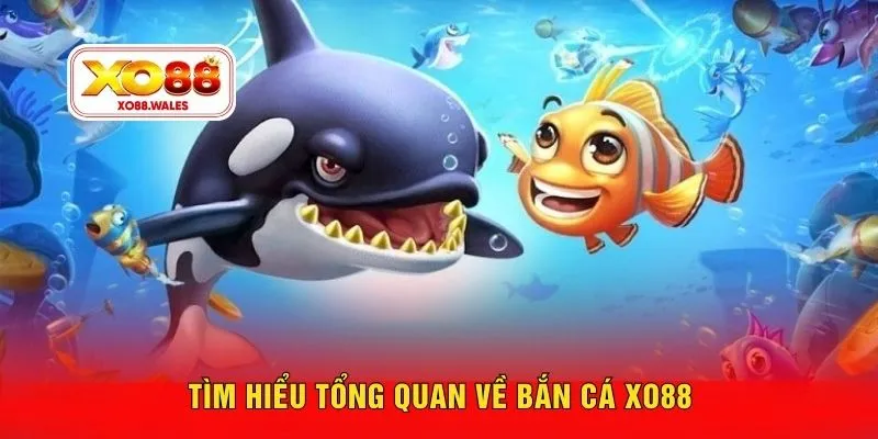 Tìm hiểu tổng quan về bắn cá XO88