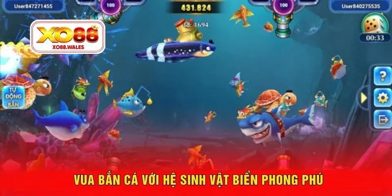 Vua bắn cá với hệ sinh vật biển phong phú